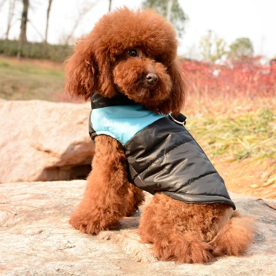 Manufacturer wholesale designer multi-colors warm cotton stuffed pet dog coat for winter use