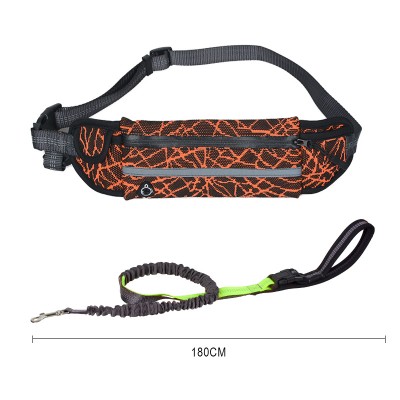 Manufacturer wholesale green orange grey dog leash with pocket outdoor use