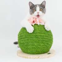 Manufacturer wholesale sisal wood cat cactus scratcher toy